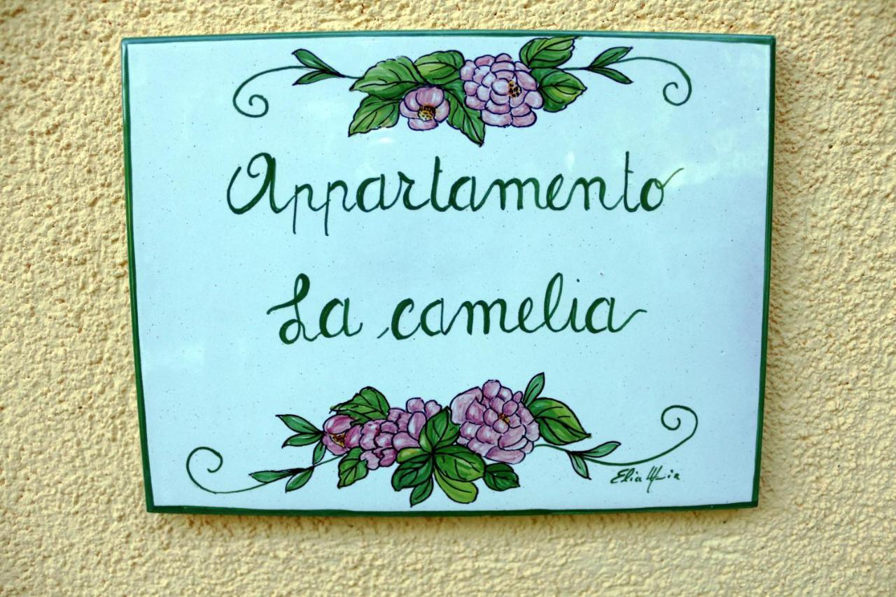 Appartamenti L'Olivo Bagnone Ngoại thất bức ảnh